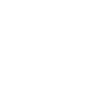 002-fun-fact copy